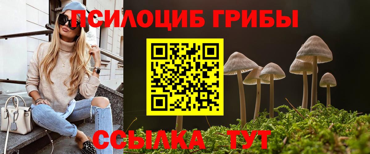 Псилоцибиновые грибы прущие грибы Йошкар-Ола