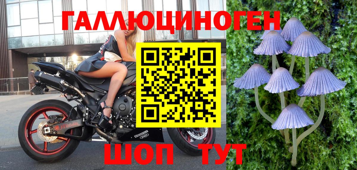 Псилоцибиновые грибы Magic Shrooms  Вход с VPN  Йошкар-Ола  Псилоцибиновые грибы GOLDEN TEACHER 